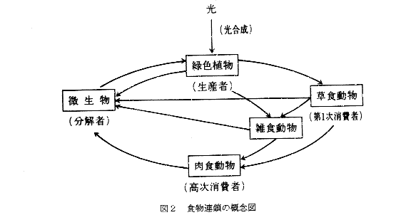 遺伝子組み換え技術と食品について パート1